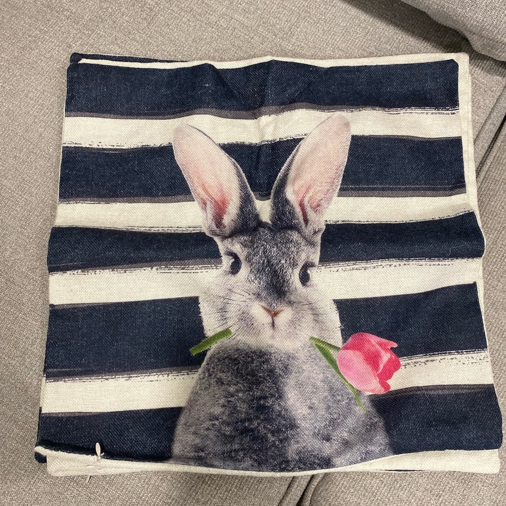 Easter Pillow Cover with Bunny like new